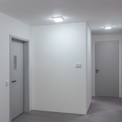 Brilagi - LED Āra sienas lampa LED/20W/230V IP54