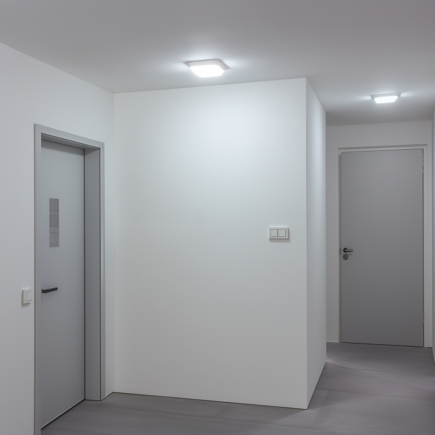 Brilagi - LED Āra sienas lampa LED/20W/230V IP54