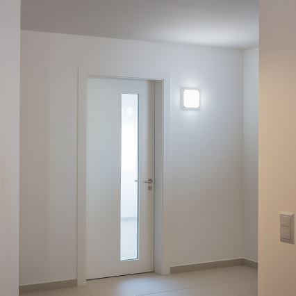 Brilagi - LED Āra sienas lampa LED/20W/230V IP54