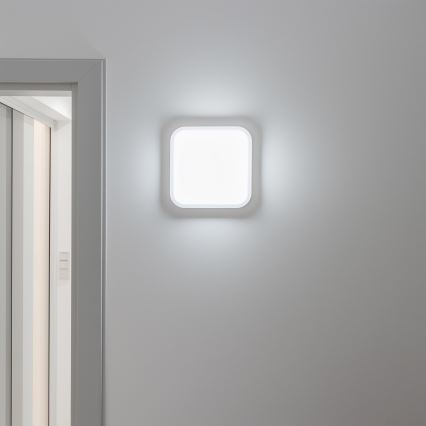 Brilagi - LED Āra sienas lampa LED/20W/230V IP54