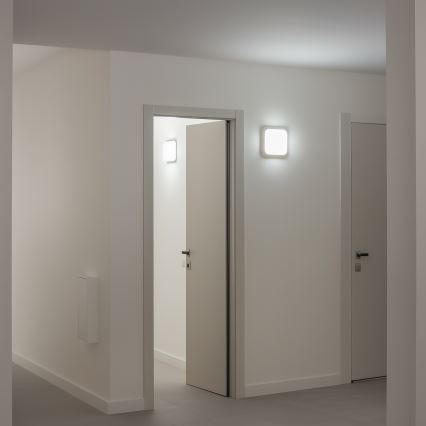Brilagi - LED Āra sienas lampa LED/20W/230V IP54