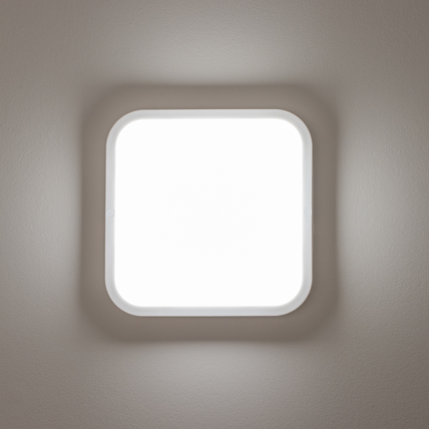 Brilagi - LED Āra sienas lampa LED/20W/230V IP54