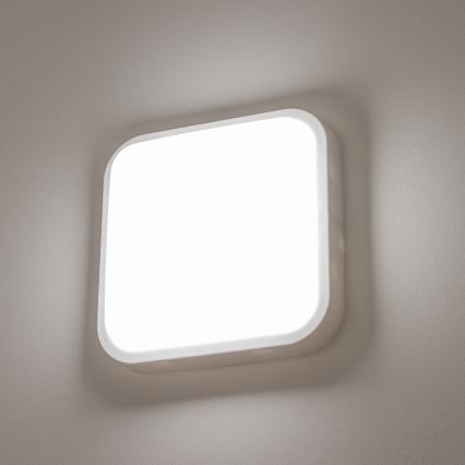 Brilagi - LED Āra sienas lampa LED/20W/230V IP54