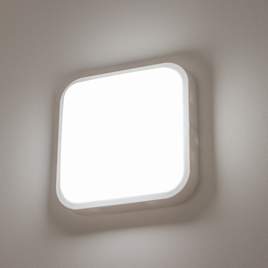 Brilagi - LED Āra sienas lampa LED/20W/230V IP54