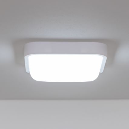 Brilagi - LED Āra sienas lampa LED/20W/230V IP54