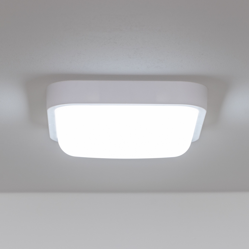 Brilagi - LED Āra sienas lampa LED/20W/230V IP54