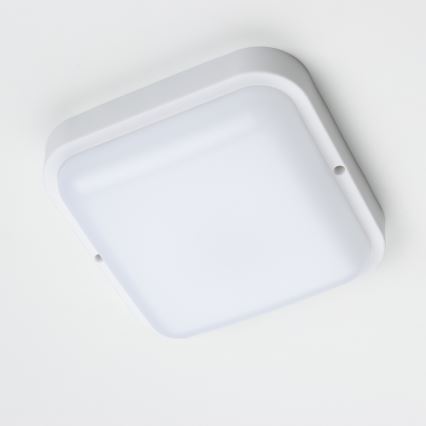 Brilagi - LED Āra sienas lampa LED/20W/230V IP54
