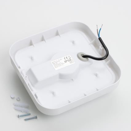 Brilagi - LED Āra sienas lampa LED/20W/230V IP54