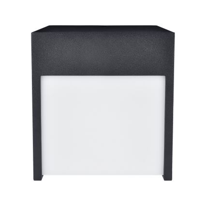 Brilagi - LED Āra sienas lampa TERNI LED/12W/230V melna IP44