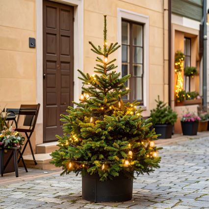 Brilagi - LED āra virtene 10xLED/3xAA 3,2m IP44 silta balta