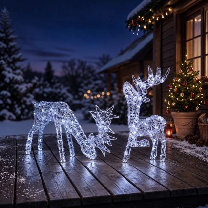 BRILAGI - LED āra Ziemassvētku dekorācija LED/3,3W/230V IP44 60x37 cm ziemeļbriedis