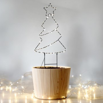 Brilagi - LED āra Ziemassvētku dekorācija LED/3xAA IP44 egle