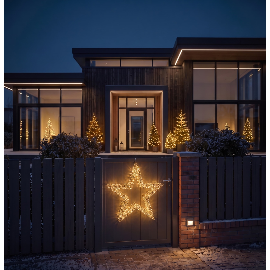 BRILAGI - LED Āra Ziemassvētku rotājums LED/3,3W/230V IP44 60 cm zvaigzne