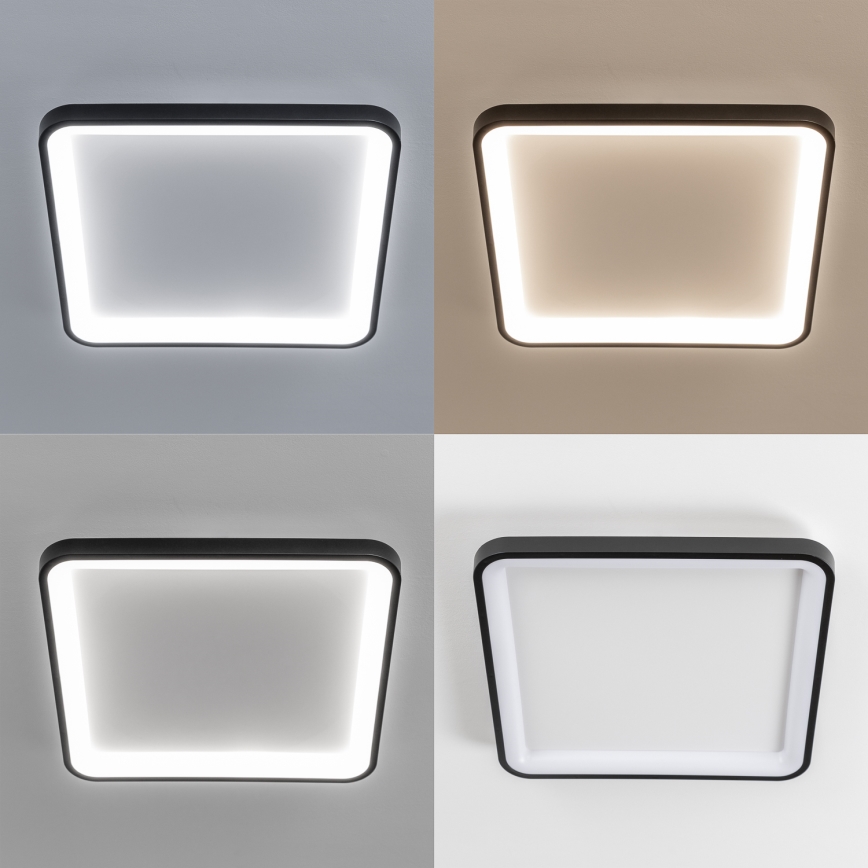 Brilagi - LED gaismeklis ar regulējamu spilgtumu FALCON SLIM LED/50W/230V 3000-6500K 50x50 cm melns + tālvadības pults