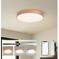 BRILAGI - LED dimējama griestu lampa POOL SMART LED/60W/230V 3000-6000K pr. 50 cm Wi-Fi Tuya vara krāsā + ar tālvadības pulti