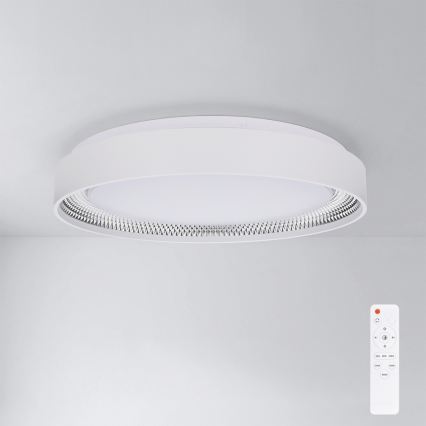 Brilagi - Dimmējams griestu gaismeklis WALDO LED/48W/230V 3000-6500K Ø 40 cm balts/sudrabs + ar tālvadības pulti