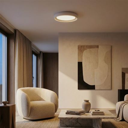 Brilagi - Dimmējams griestu gaismeklis WALDO LED/48W/230V 3000-6500K Ø 40 cm balts/sudrabs + ar tālvadības pulti