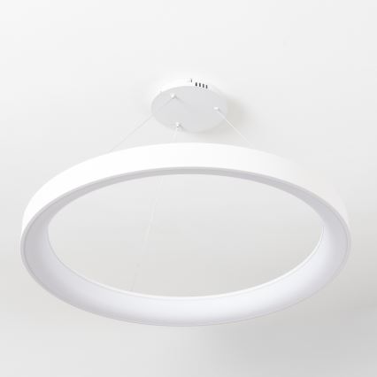 Brilagi - regulējama LED karāma lustra uz troses FALCON II LED/108W/230V 3000-6500K Ø 80 cm balta + tālvadības pults