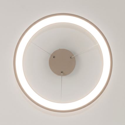 BRILAGI - LED aptumšojama piekārta lampa ar vadu FALCON SLIM LED/42W/230V 3000-6500K Ø 50 cm bēša + ar tālvadības pulti