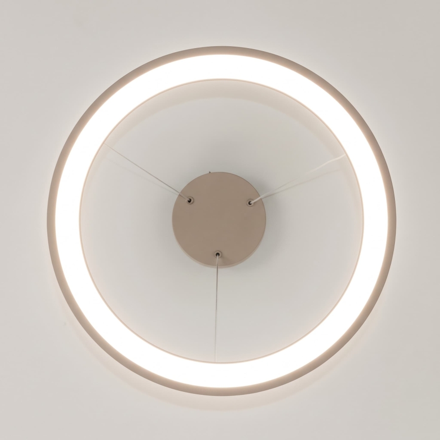 BRILAGI - LED aptumšojama piekārta lampa ar vadu FALCON SLIM LED/42W/230V 3000-6500K Ø 50 cm bēša + ar tālvadības pulti