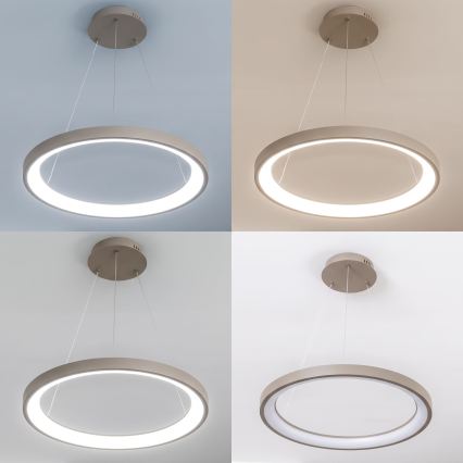 BRILAGI - LED aptumšojama piekārta lampa ar vadu FALCON SLIM LED/42W/230V 3000-6500K Ø 50 cm bēša + ar tālvadības pulti
