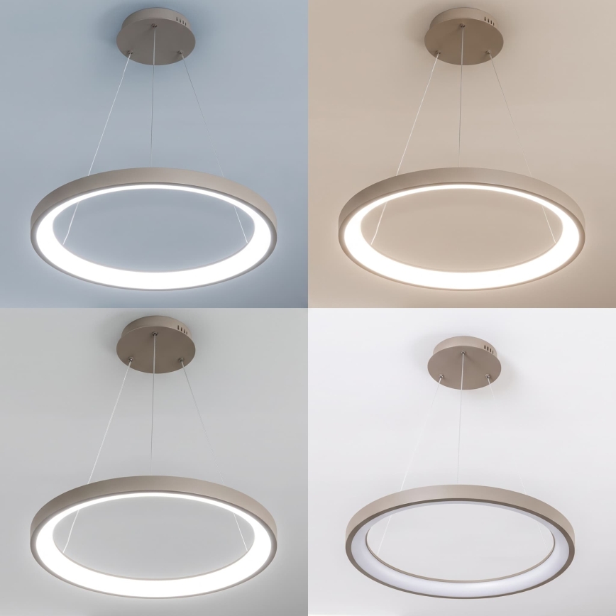 BRILAGI - LED aptumšojama piekārta lampa ar vadu FALCON SLIM LED/42W/230V 3000-6500K Ø 50 cm bēša + ar tālvadības pulti