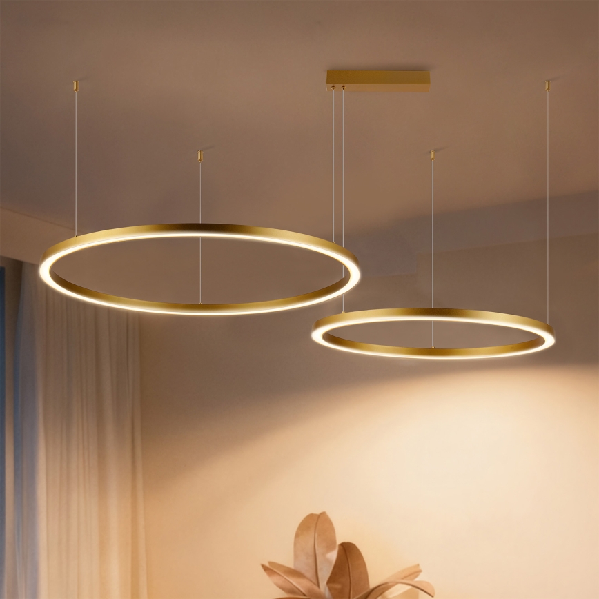 Brilagi - LED lustrs ar regulējamu spilgtumu uz troses PORTOFINO LED/98W/230V 3000-6000K zelta + ar tālvadības pulti
