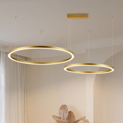 Brilagi - LED lustrs ar regulējamu spilgtumu uz troses PORTOFINO LED/98W/230V 3000-6000K zelta + ar tālvadības pulti