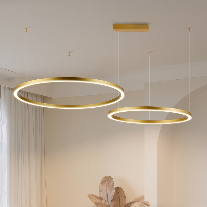 Brilagi - LED lustrs ar regulējamu spilgtumu uz troses PORTOFINO LED/98W/230V 3000-6000K zelta + ar tālvadības pulti