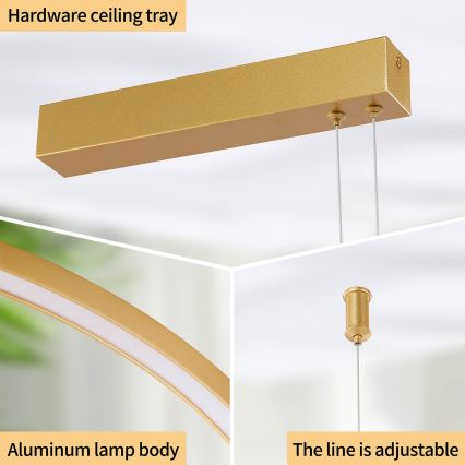 Brilagi - LED lustrs ar regulējamu spilgtumu uz troses PORTOFINO LED/98W/230V 3000-6000K zelta + ar tālvadības pulti