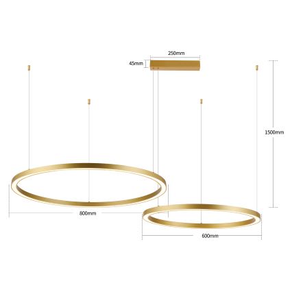 Brilagi - LED lustrs ar regulējamu spilgtumu uz troses PORTOFINO LED/98W/230V 3000-6000K zelta + ar tālvadības pulti