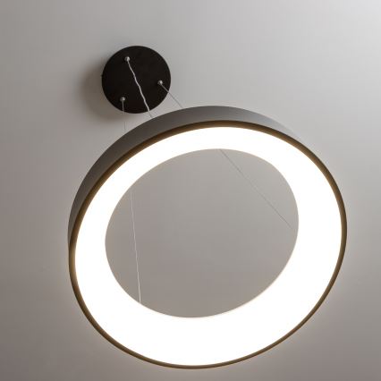 Brilagi - dimmējama LED lustra uz troses FALCON LED/40W/230V 3000-6500K Ø 45 cm melna + tālvadības pults