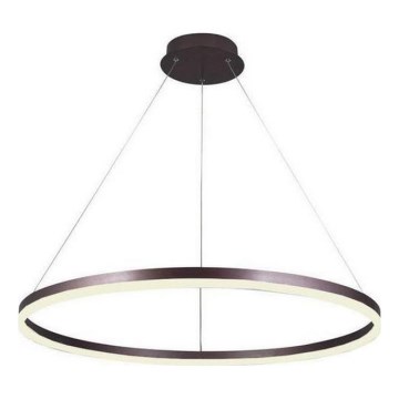 Brilagi - LED dimējama pakaramā lampa uz troses CIRCLE LED/55W/230V 3000-6500K Ø 80 cm brūna + ar tālvadības pulti