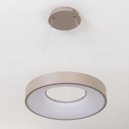 BRILAGI - LED regulējama lustra uz troses FALCON II LED/67W/230V 3000-6500K Ø 40 cm bēša + tālvadības pults