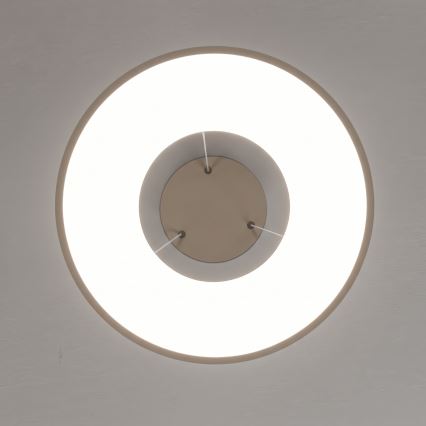 BRILAGI - LED regulējama lustra uz troses FALCON II LED/67W/230V 3000-6500K Ø 40 cm bēša + tālvadības pults