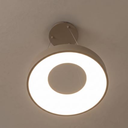 BRILAGI - LED regulējama lustra uz troses FALCON II LED/67W/230V 3000-6500K Ø 40 cm bēša + tālvadības pults