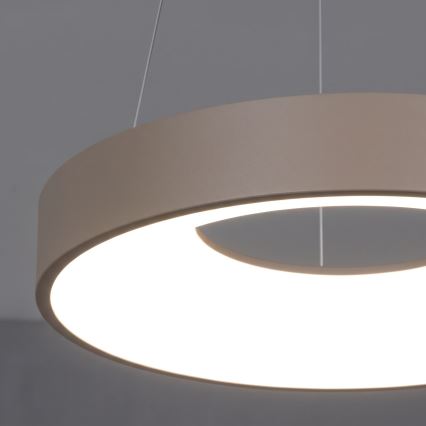 BRILAGI - LED regulējama lustra uz troses FALCON II LED/67W/230V 3000-6500K Ø 40 cm bēša + tālvadības pults