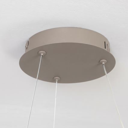 BRILAGI - LED regulējama lustra uz troses FALCON II LED/67W/230V 3000-6500K Ø 40 cm bēša + tālvadības pults
