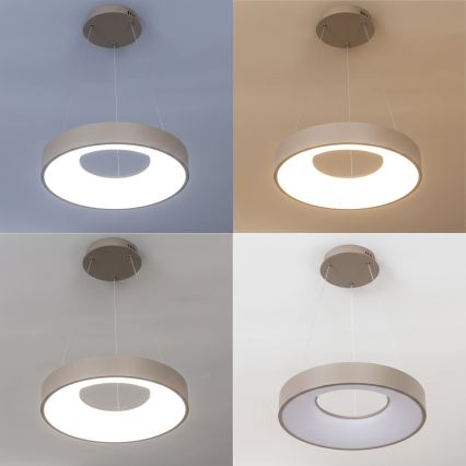 BRILAGI - LED regulējama lustra uz troses FALCON II LED/67W/230V 3000-6500K Ø 40 cm bēša + tālvadības pults