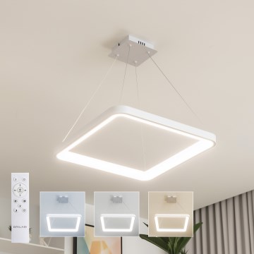 Brilagi - LED dimējama piekaramā lampa uz troses FALCON SLIM LED/50W/230V 3000-6500K 50x50 cm balta + tālvadības pults