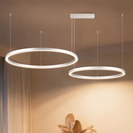 Brilagi - LED regulējama lustra uz troses PORTOFINO LED/98W/230V 3000-6000K sudraba + tālvadības pults