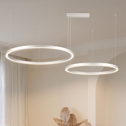 Brilagi - LED regulējama lustra uz troses PORTOFINO LED/98W/230V 3000-6000K sudraba + tālvadības pults