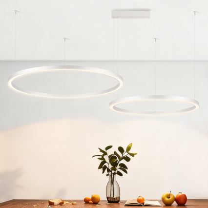 Brilagi - LED regulējama lustra uz troses PORTOFINO LED/98W/230V 3000-6000K sudraba + tālvadības pults
