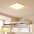 Brilagi - LED Dimējama vannas istabas griestu lampa FRAME SMART LED/50W/230V 60x60 cm 3000-6000K IP44 bēša + tālvadības pults