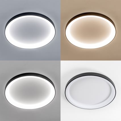 Brilagi - LED dimmējama griestu lampa FALCON II LED/108W/230V 3000-6500K Ø 80 cm melna + tālvadība