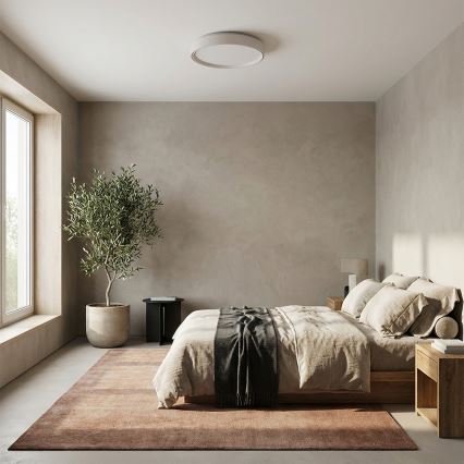 Brilagi - dimmējams LED griestu gaismeklis NANCI LED/60W/230V 3000–6500K Ø 49 cm balts + tālvadības pults