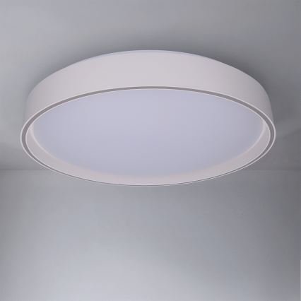 Brilagi - dimmējams LED griestu gaismeklis NANCI LED/60W/230V 3000–6500K Ø 49 cm balts + tālvadības pults