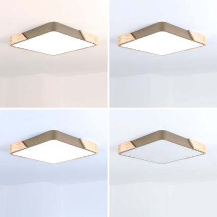 BRILAGI - Regulējama LED griestu lampa PILANA SQUARE LED/48W/230V 3000-6500K ozols/bēšs 42x42 cm + tālvadības pults