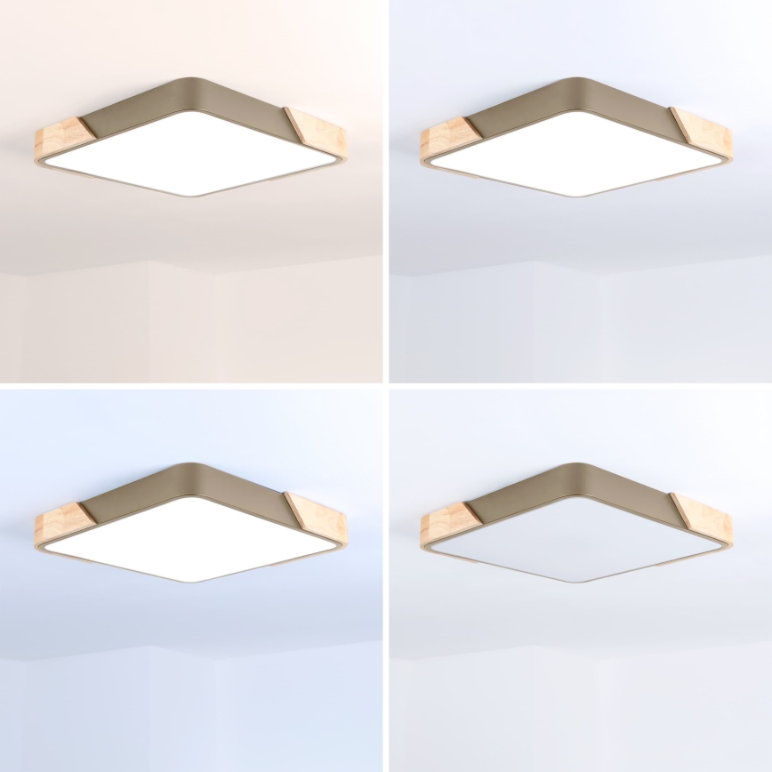 BRILAGI - Regulējama LED griestu lampa PILANA SQUARE LED/48W/230V 3000-6500K ozols/bēšs 42x42 cm + tālvadības pults
