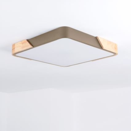 BRILAGI - Regulējama LED griestu lampa PILANA SQUARE LED/48W/230V 3000-6500K ozols/bēšs 42x42 cm + tālvadības pults